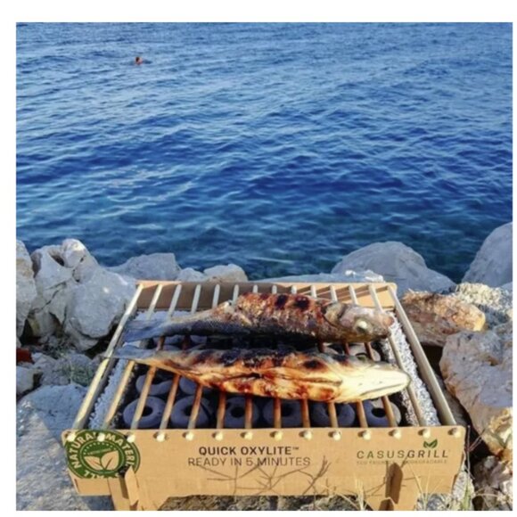 CasusGrill Disposable Single-Use Eco Quick Light-Up BBQ - Picture 7 of 10